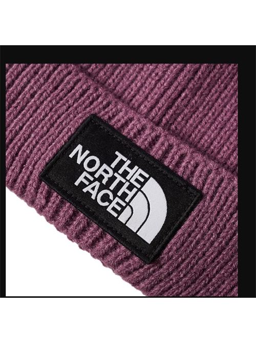 salty lined beanie THE NORTH FACE | NF0A3FJW1NI1.1NI1